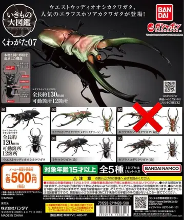 생물대도감 장수풍뎅이 07 4종