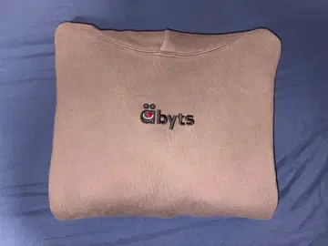 사토 타케루 ABYTS 하겐다즈 콜라보 HOODIE 사이즈 2