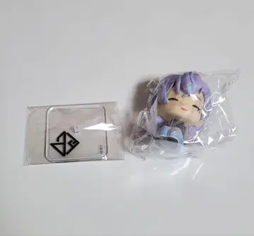 니지콧토 별도 쇼