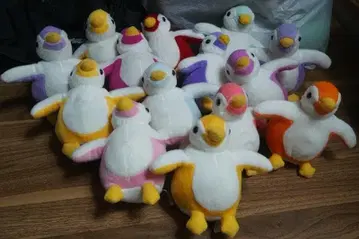 동물 멀티 컬러 봉제 인형 세트