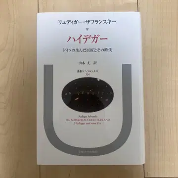 하이데거 독일의 거장과 그 시대