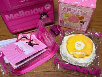 멜로 조이 대복 파인