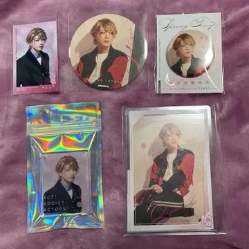 에이스테 아니카페 시