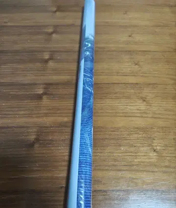 B z LIVE-GYM 2025 FYOP 포스터 B