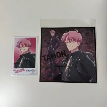 타몬 군 지금 어느 쪽!? 후쿠하라 타몬 솔로 아더 자켓 미니 사진