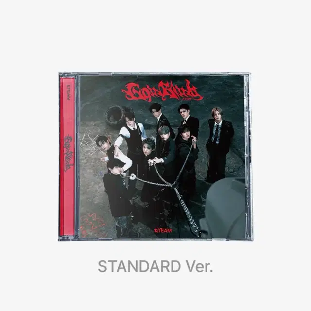 앤팀 앨범 Go in Blind' STANDARD EDIT