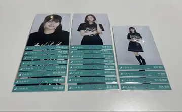 노기자카46 생사진 한여름 전국 투어 2025 라이브t 묶음 판매 21장