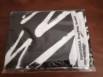 stray kids 후쿠오카 타월