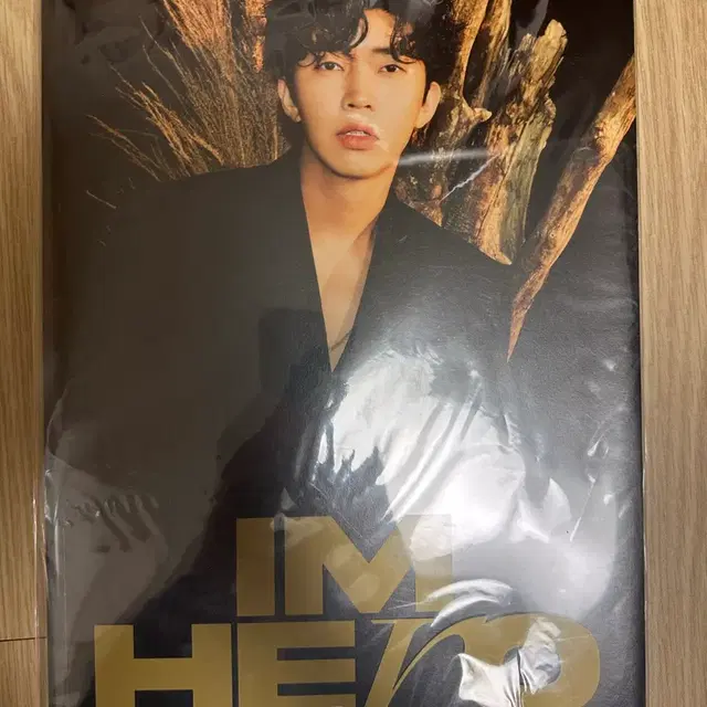 임영웅 1집 앨범