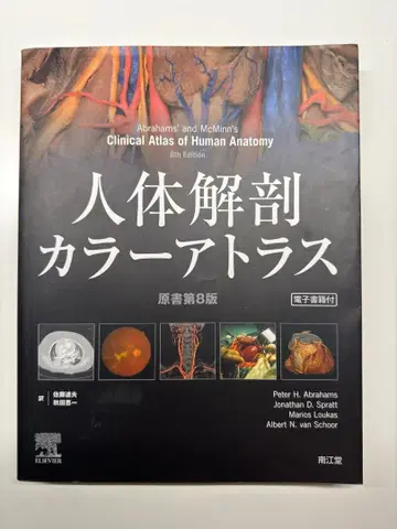 인체 해부 컬러 아틀라스 제8판