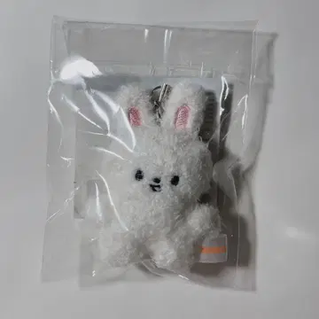 SKZOO KEYRING MICRO VER - 리빗