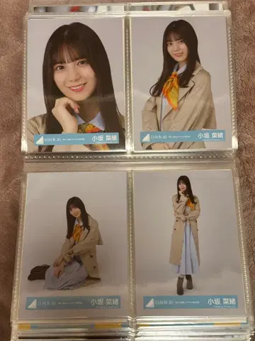 코사카 나오 맥동하는 감정 재킷 사진