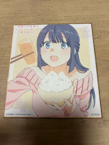 마키노하라 쇼코 색지