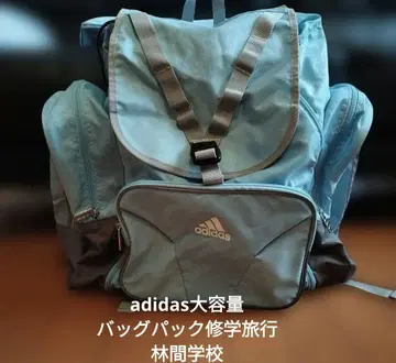 adidas 대용량 백팩 스카이블루/그레이