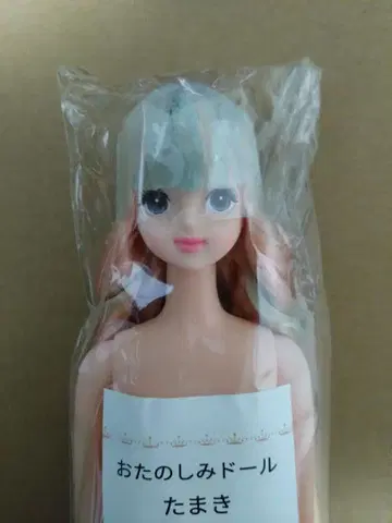 즐거운 인형 타마키