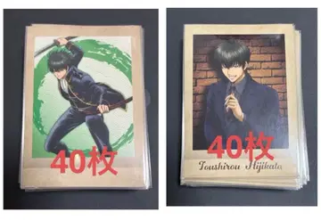 은혼 파샤코레 히지카타 토시로