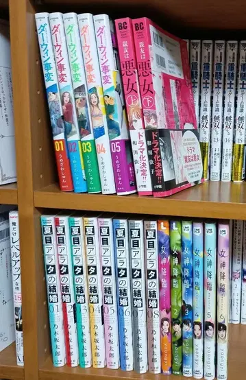 묶음 판매 코믹 애니메이션 만화 코믹스 전권