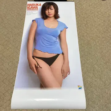 이가와 하루카 HARUKA IGAWA 2002년 달력