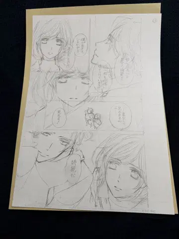 뱀파이어 기사 원화전 히노 마츠리 원고 하채