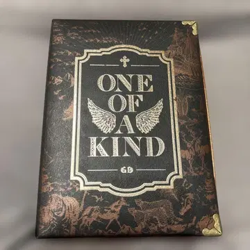 BIGBANG G-DRAGON ONE OF A KIND 앨범 브론즈