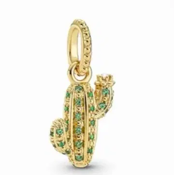 판도라 선인장 참