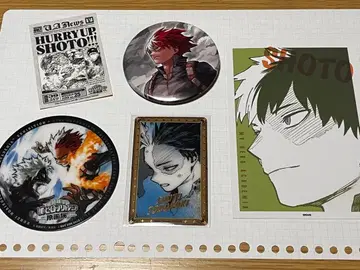 히로아카 원화전 토도로키 쇼토 5세트