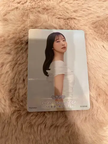 사시하라 리노 Dream Stage TCG AKB48 무도관 입장 특전
