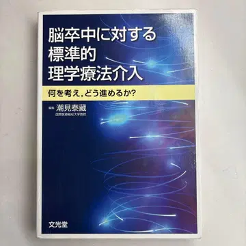 뇌졸중에 대한 표준적 물리치료 중재 무엇을 생각하고 어떻게 진행할까?