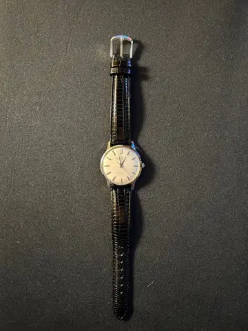 Citizen Deluxe 수동 와인딩 시계 파라쇼크 기능 포함