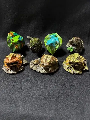 생물대도감 미니 컬렉션 양서류 개구리 7종 세트