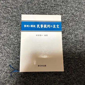 사례와 해설 민사재판의 주문