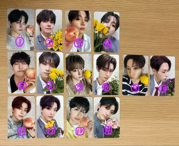 ALD1 트레이딩 카드 묶음 판매 낱개 판매 가능