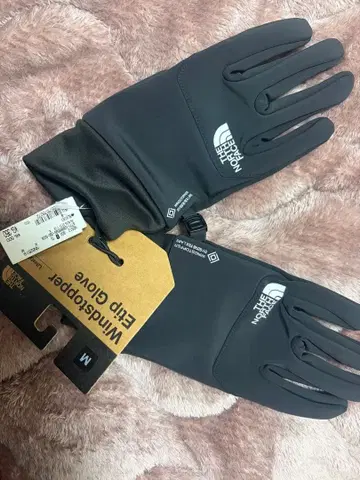 THE NORTH FACE 윈드스토퍼 에팁 장갑 M