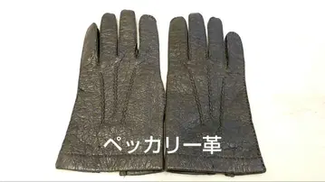 [ 희귀 입수 곤란 ] 서독제 페카리 가죽 장갑 레어 아이템 컬렉션