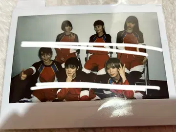 bish 와이드 폴라로이드