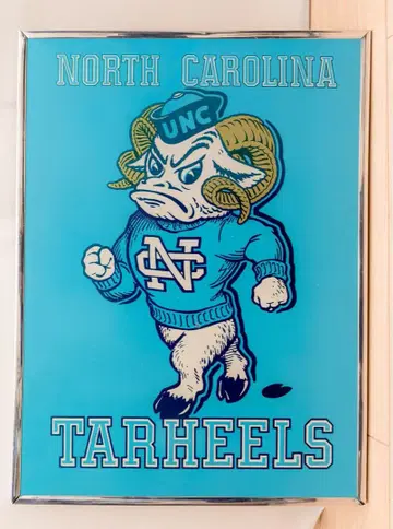 노스캐롤라이나 터힐스 마스코트 패널