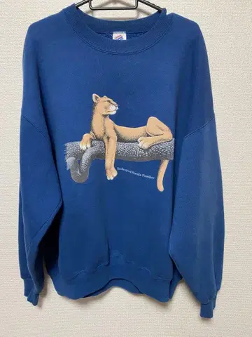 90s USA제 JERZEES SUPER SWEAT 플로리다 팬서 XL