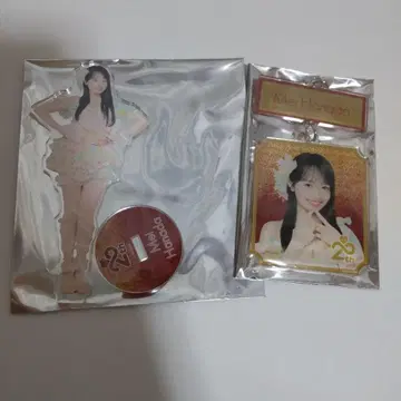 AKB48 무도관 SPECIAL 복권 키링 아크릴 스탠드 하나다 아이