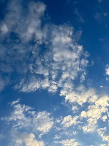 아이보리 더플 코트 사이즈 6 올드 잉글랜드 영국제