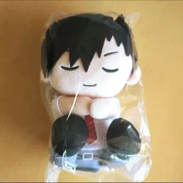 하이큐 쿠로오 테츠로 봉제 인형 무릎 위 낮잠 ver.