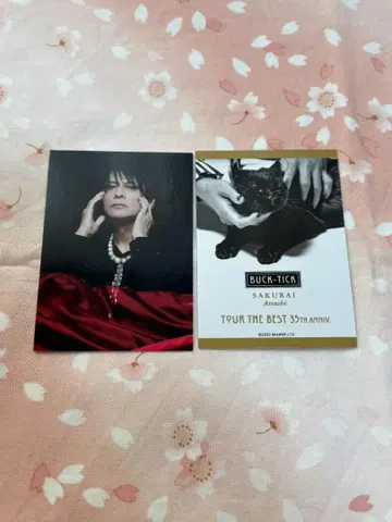 BUCK-TICK 사쿠라이 아츠시 트레이딩 카드 라스트 1장 3