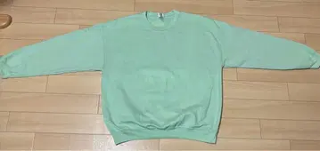 민트 그린 빈티지 맨투맨