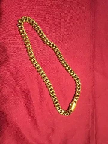 NASTYDOG 골드 도금 목걸이 케이스 포함