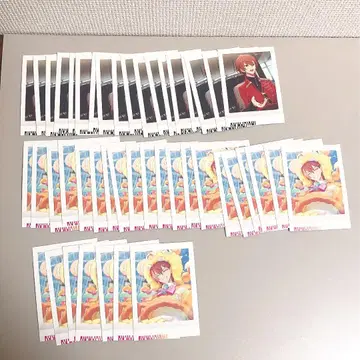 니시조노 렌가 렌가 에이트리 18TRIP 파샤코레