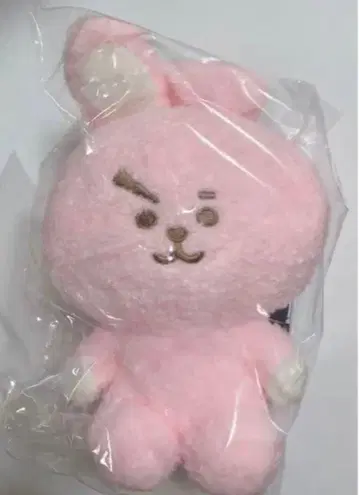 BT21 cooky 봉제 인형