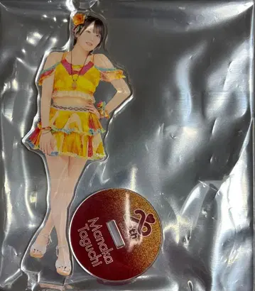 다구치 마나카 AKB48 SPECIAL 복권 아크릴 스탠드 일본 무도관