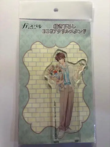 nu 카니발 아크릴 스탠드 메디코스 에이트