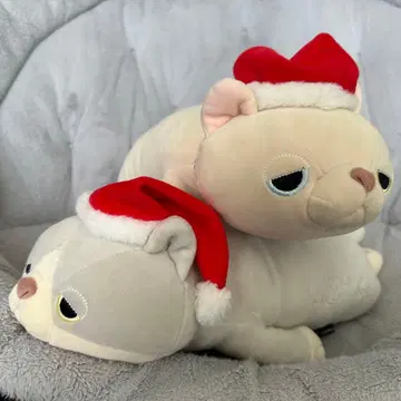 Francfranc 크리스마스 고양이 봉제 인형 페어
