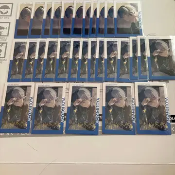 프로세카 아오야기 토야 금박 에피카 21B