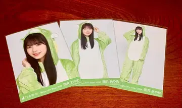 츠츠이 아야메 브로마이드 2024년 용 컴프